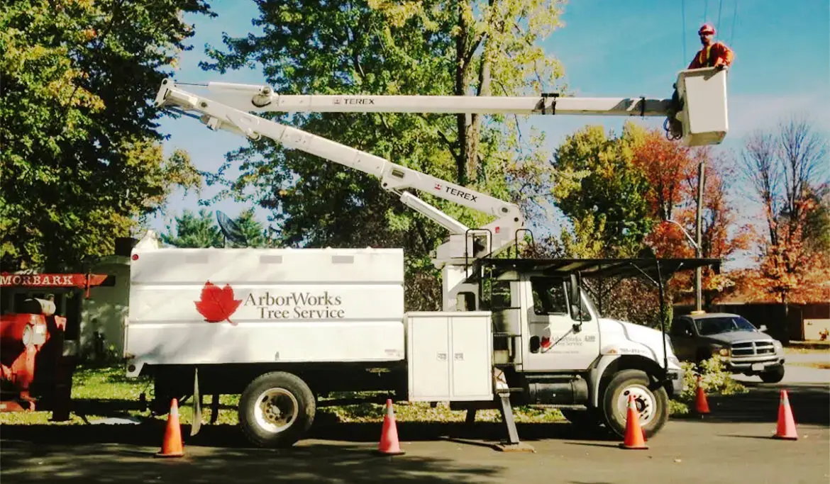 bucket-truck-tree-removal-arborworks