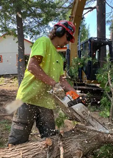 tree-removal-north-bay-home tree-removal-north-bay-home