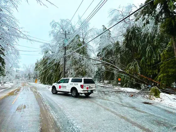 emergency-tree-service-24-7-north-bay-muskoka-arborworks-Services-gallery1 EMERGENCY TREE SERVICES