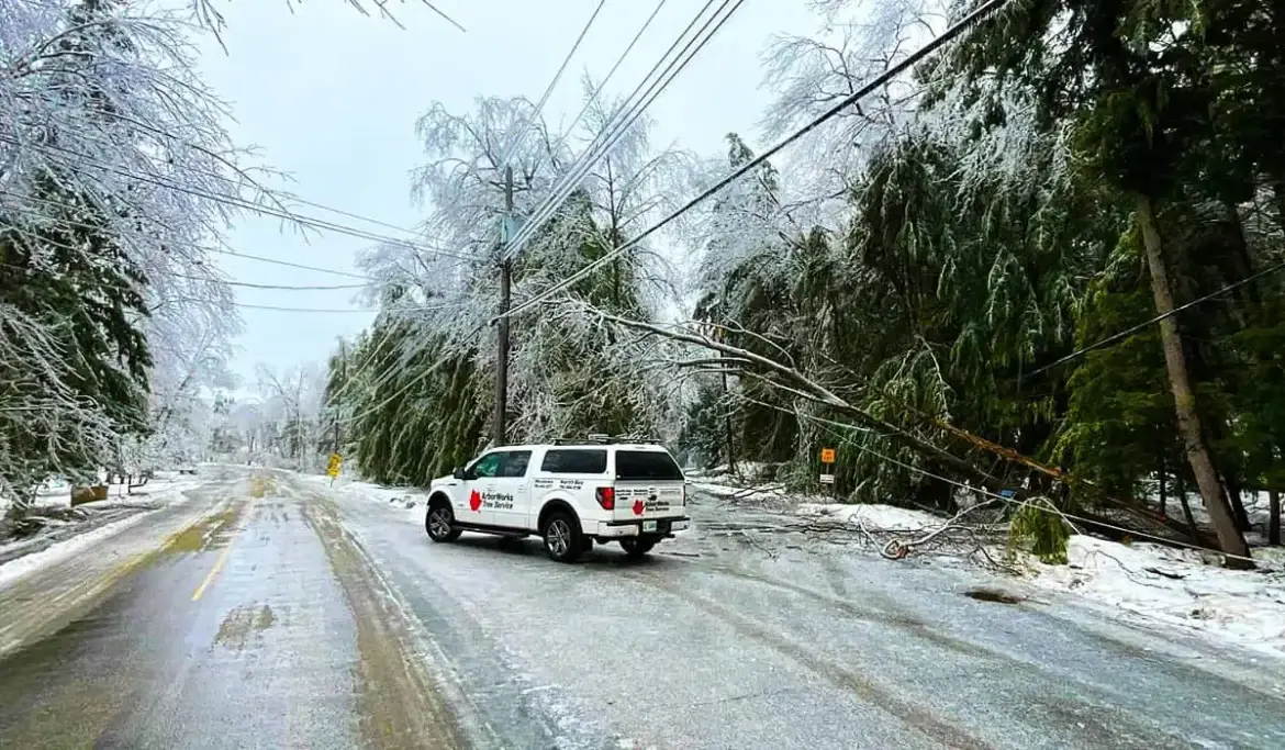 storm-damage-tree-removal-north-bay