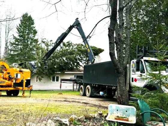 emergency-tree-service-24-7-north-bay-muskoka-arborworks-Services-gallery5 emergency-tree-service-24-7-north-bay-muskoka-arborworks-Services-gallery5